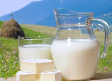 Молоко поможет решить проблему климата, - ученые 