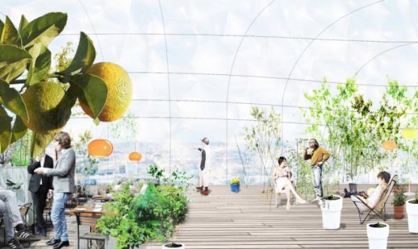 “Зеленое” сооружение: в Швеции представили проект госдепартмаента с фасадом-теплицей (ФОТО)
