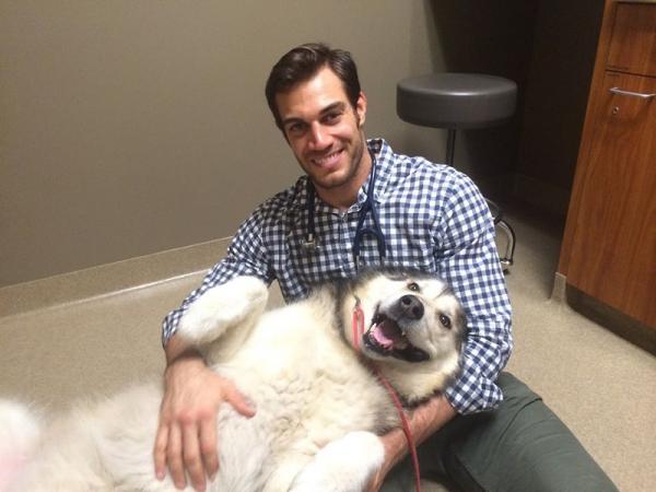Ветеринар из Калифорнии покорил интернет снимками со своими пациентами (ФОТО)