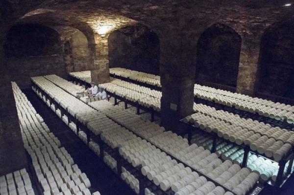 Сырное подземелье: как французы готовят самый знаменитый сыр в мире (ФОТО)