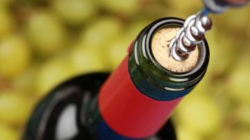 Почему пить не вредно: cемь полезных эффектов алкоголя