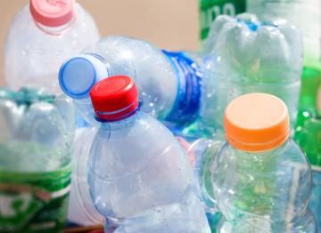 В Японии обнаружена пожирающая неразлагающийся пластик бактерия