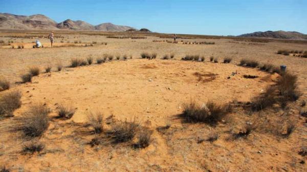 Ученые раскрыли тайну намибийских «ведьминых кругов» (ФОТО)