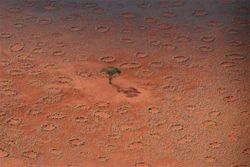 Ученые объяснили причину возникновения странного природного явления в австралийской пустыне