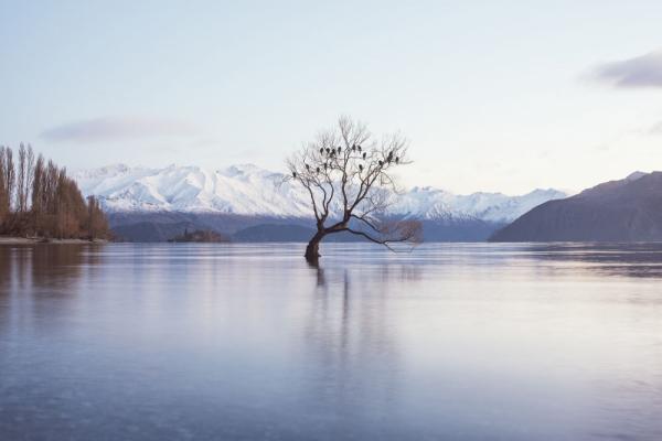 Потрясающие фотоснимки пейзажей Новой Зеландии (ФОТО)