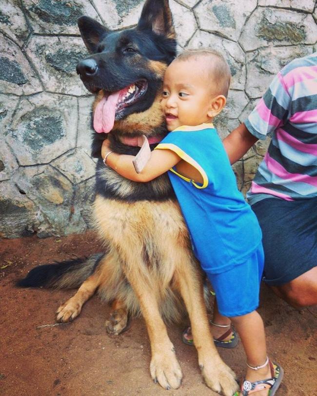 20 милых доказательств того, что вашему ребенку нужна собака (ФОТО)