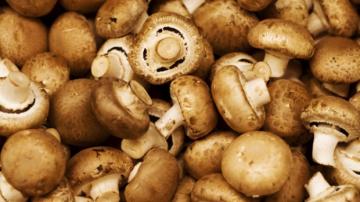 Эксперты развенчали миф о пользе грибной диеты