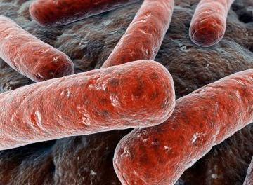 США угрожает эпидемия туберкулеза
