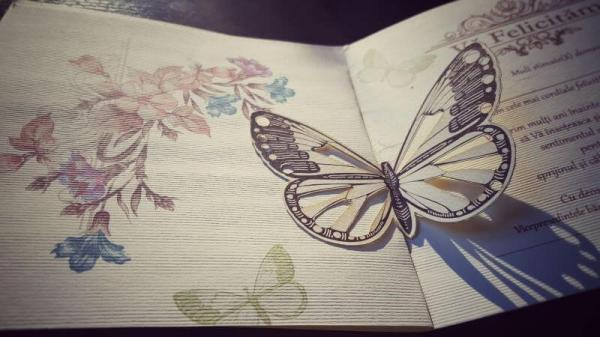 Домашний креатив: невероятные бабочки из картона (ФОТО)