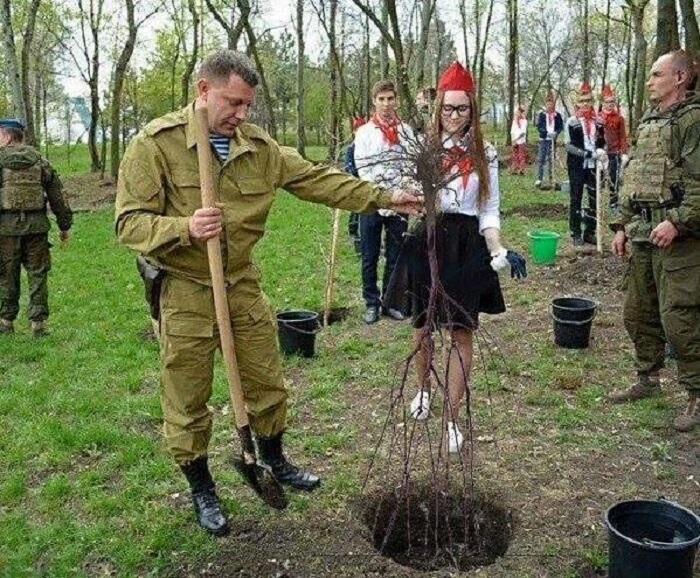 Главарь боевиков не умеет сажать деревья (ФОТО)