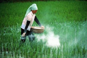 Ученые рассказали о причастности пестицидов к аутизму