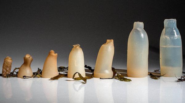 Бутылка из водорослей поможет решить проблему утилизации мусора (ФОТО)