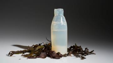 Бутылка из водорослей поможет решить проблему утилизации мусора (ФОТО)