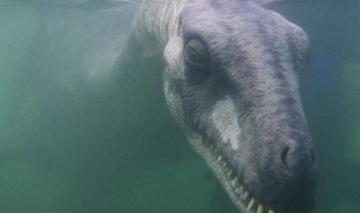 Очевидец снял Лох-Несское чудовище в водах Темзы (ВИДЕО)