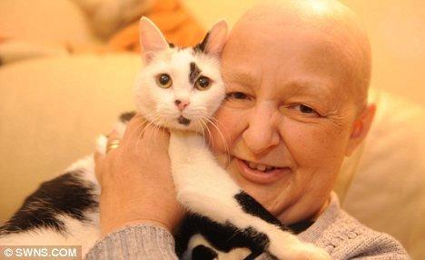 ТОП-10 невероятных случаев спасения людей кошками (ФОТО)