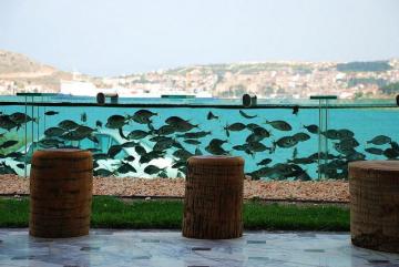 Житель Турции построил забор в виде аквариума (ФОТО)