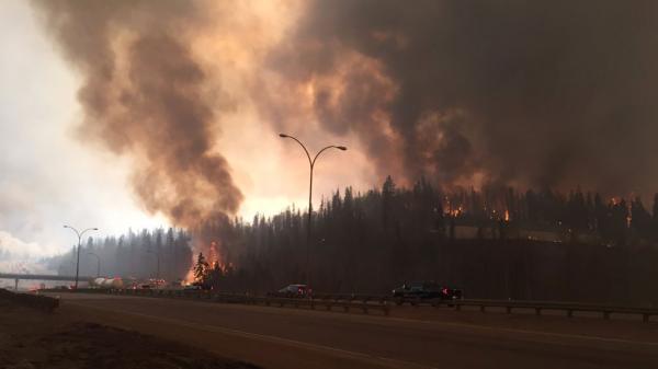 В канадской провинции Альберта бушуют лесные пожары (ФОТО)