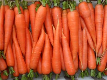 Ученые наконец-то узнали, почему морковь становится оранжевой