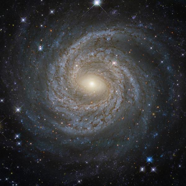 NASA продемонстрировало "сейфертовскую" галактику (ФОТО)