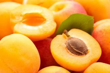Медики опровергли миф об абрикосовых косточках