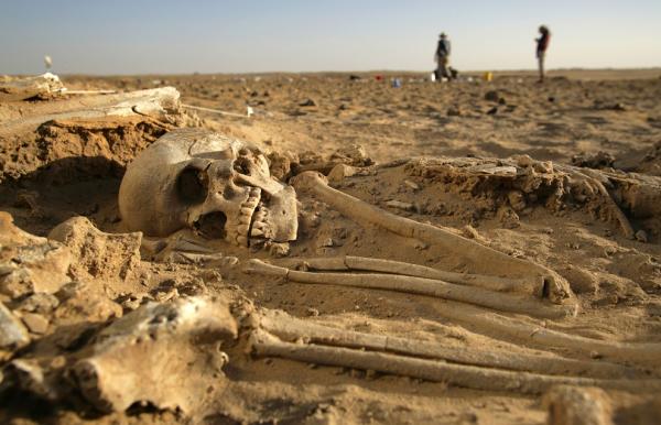 Пустыня смерти. Какие секреты таит у себя Сахара (ФОТО)