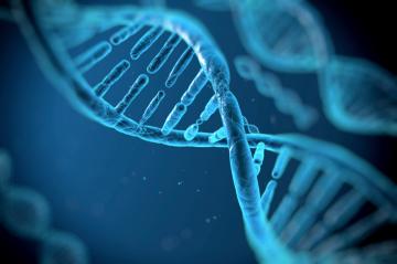 Ученые удалось «вырезать» гены ВИЧ из ДНК живых организмов