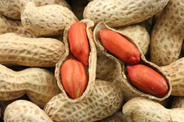 Американские ученые создали гипоаллергенный арахис