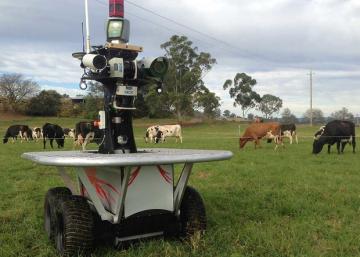 Австралийцы создали робота-пастуха (ВИДЕО)