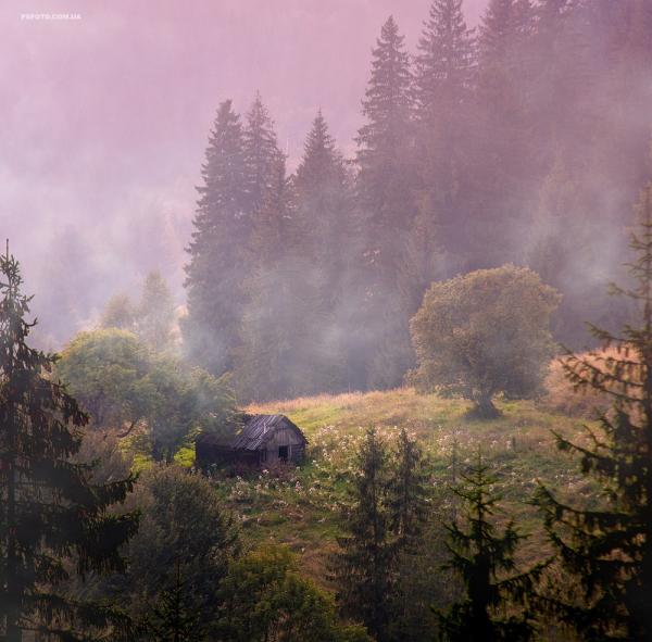 Красивейшие места Карпат. Дземброня - самое высокогорное село Украины (ФОТО)