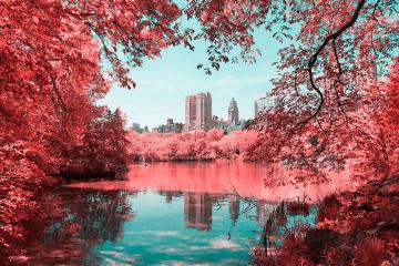 Центральный парк Нью-Йорка в инфракрасном цвете (ФОТО)