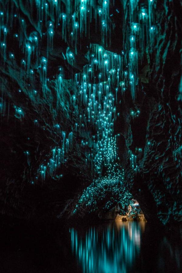 Находка для туриста: поразительные пещеры Вайтомо в Новой Зеландии (ФОТО)