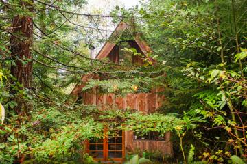 Навеянный японской эстетикой: замечательный миниатюрный дом в лесу (ФОТО)
