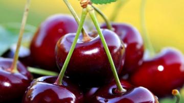 Употребление вишни, черешни и малины способствует укреплению иммунитета