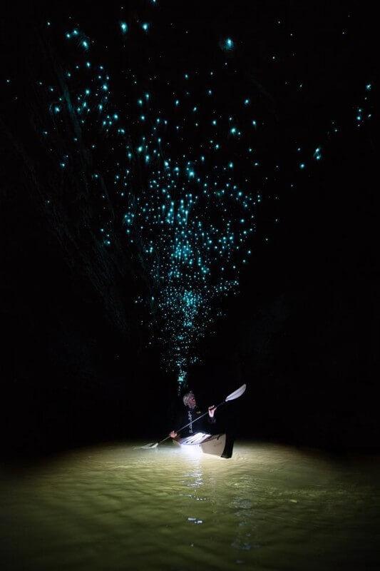 Небо в алмазах. Невероятные обитатели пещер Новой Зеландии (ФОТО)