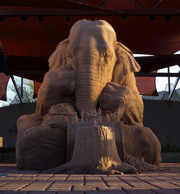 Песчаные слоны. Необычные творения Рея Виллафейна (ФОТО)