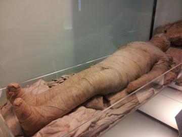 Чилийские фермеры откопали три древних мумии