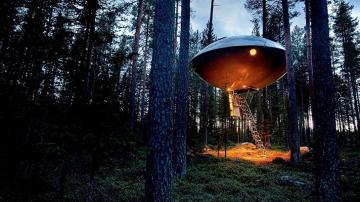 Дикая ночь в НЛО: удивительный отель в лесу (ФОТО)
