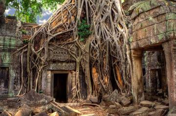 В Камбодже обнаружили следы подземной цивилизации (ВИДЕО)