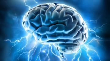 Ученые создали белок, способный управлять активностью мозга