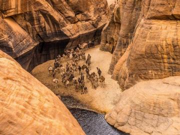 Чудо природы: удивительный оазис в пустыне Сахара (ФОТО)