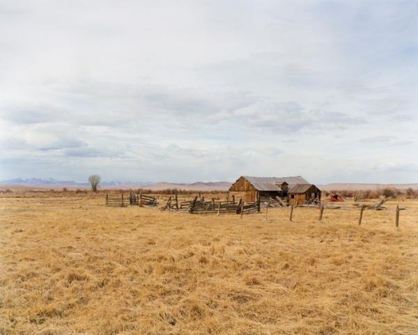 Жизнь современных ковбоев на Западе США (ФОТО)