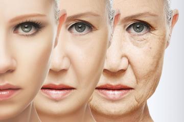 Ученые выяснили, как замедлить старение