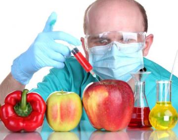 Ученые опровергли миф о вреде ГМО