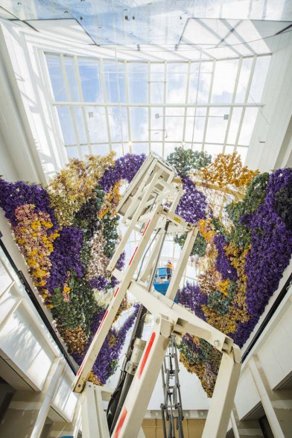 Цветочное безумие: грандиозная арт-инсталляция в австралийском Мельбурне (ФОТО)