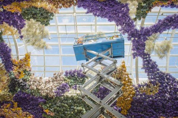 Цветочное безумие: грандиозная арт-инсталляция в австралийском Мельбурне (ФОТО)