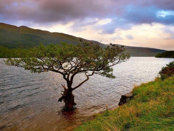 Прекрасная и непревзойденная: удивительные пейзажи Шотландии (ФОТО)