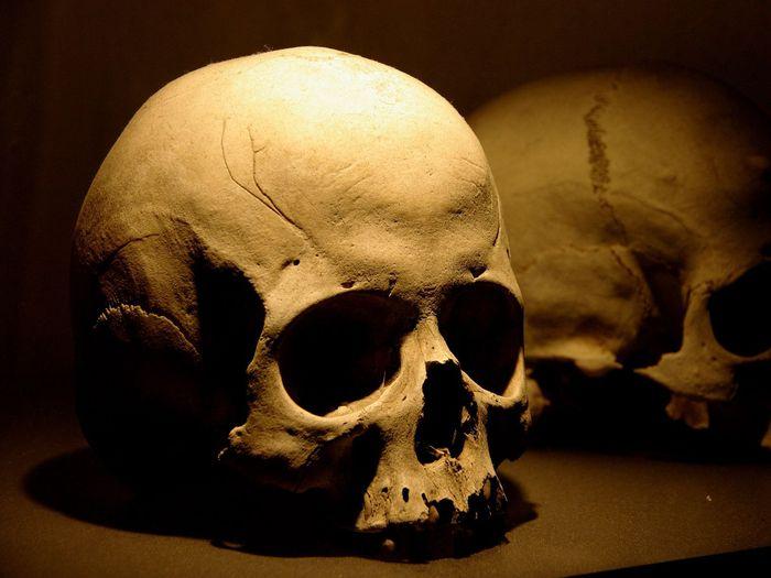 7 археологических находок, проливших свет на древние злодеяния