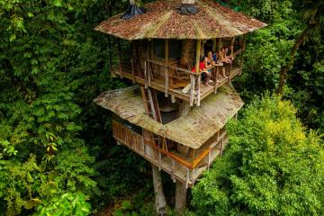 Жилище в сердце тропического леса: диковинный отель в Южной Америке (ФОТО)