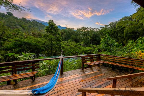 Жилище в сердце тропического леса: диковинный отель в Южной Америке (ФОТО)