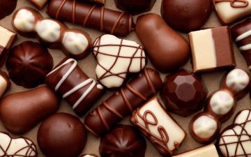 Ученые выяснили, что конфеты повышают уровень доверия